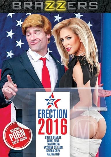ZZ Erection 2016