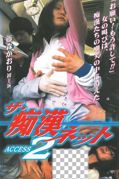 The Molester Net ACCESS 2