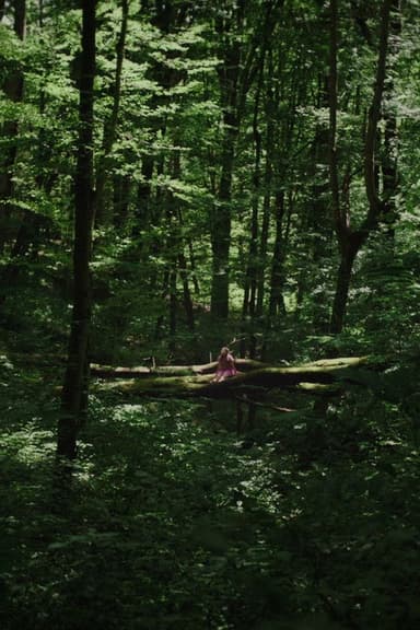 Kétoldali közelítés