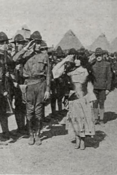 The Little Boy Scout